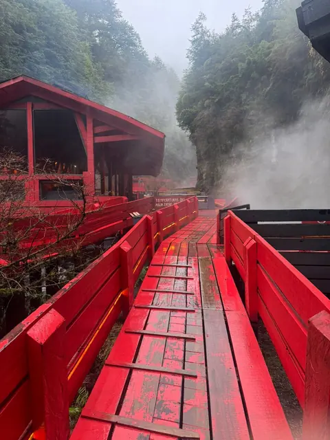 Pasarela roja hacia una construcción de madera entre piscinas, vapor y bosque
