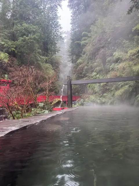 Piscina al aire libre junto a rocas, vegetación y pasarelas rojas