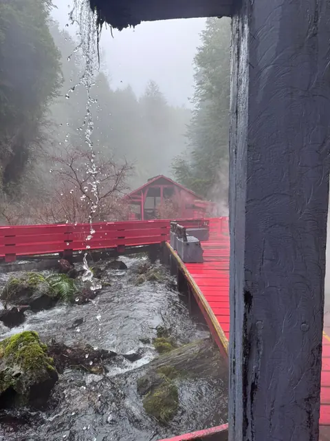 Vista desde una estructura de madera hacia una pasarela roja, agua y bosque