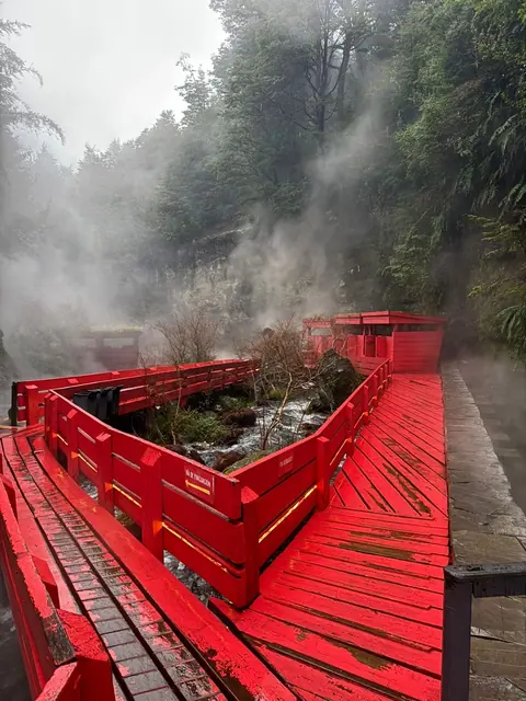 Encuentro de pasarelas rojas sobre un curso de agua entre vapor y bosque