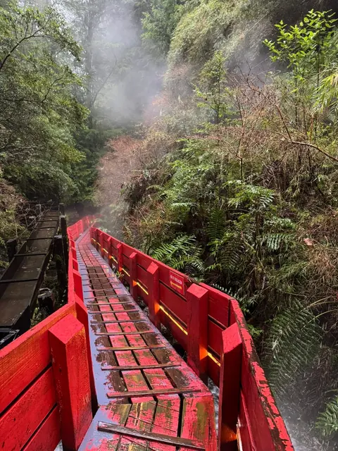 Pasarela roja junto a una pared de roca y vegetación con vapor al fondo