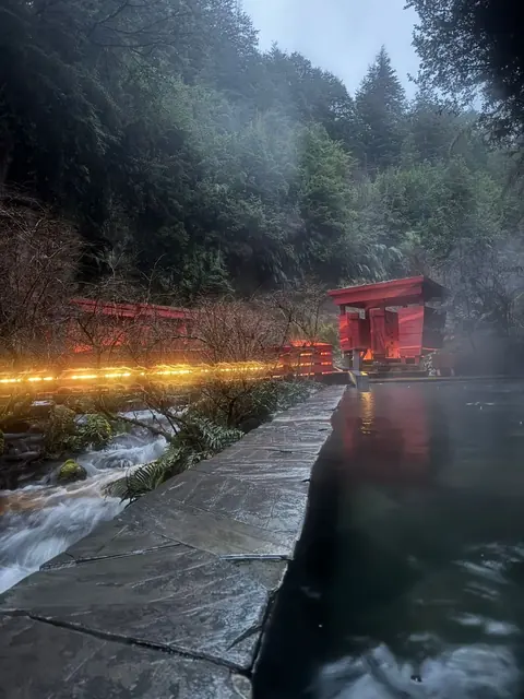 Piscina y pasarelas con iluminación cálida al anochecer bajo los árboles