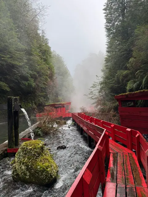 Pasarela roja que bordea un curso de agua con rocas y vapor entre árboles