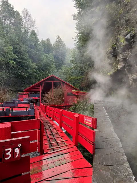 Pasarelas y casetas rojas junto al agua con vapor y bosque al fondo