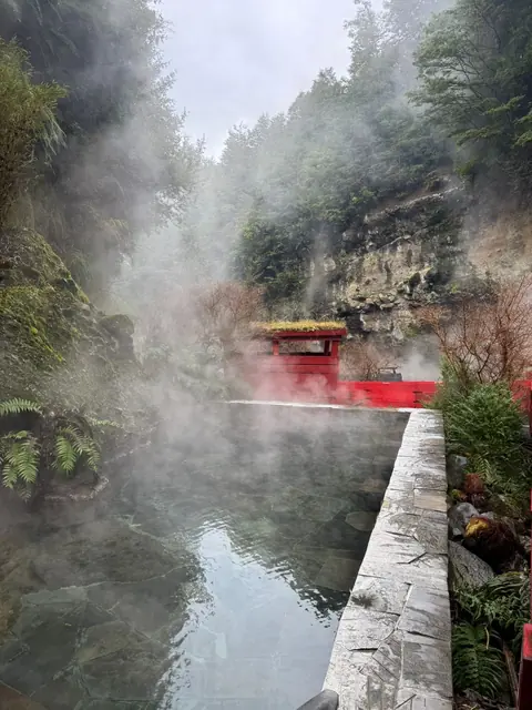 Piscina con borde de piedra y vapor junto a una pasarela roja y vegetación
