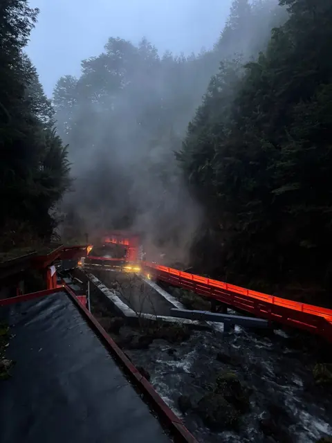 Pasarelas rojas y agua en una quebrada arbolada con luz tenue