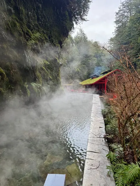 Piscina al aire libre junto a una pared de roca cubierta de vegetación y vapor