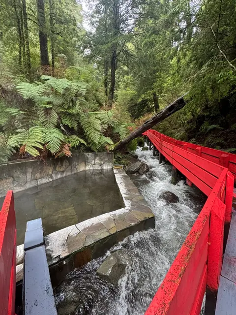 Pasarela roja sobre un curso de agua entre rocas, helechos y árboles