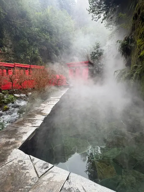 Vapor sobre una piscina de borde de piedra junto a barandas rojas y bosque