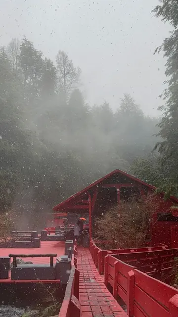 Caseta roja y pasarela junto a una piscina bajo la niebla entre árboles