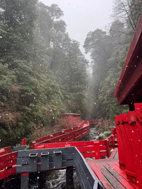 Pasarelas rojas y una baranda gris junto a una construcción y una pared de vegetación