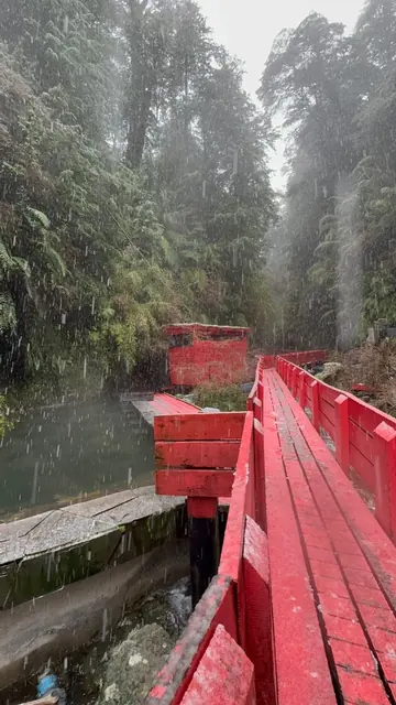 Pasarela roja junto a una piscina de borde de piedra en una quebrada arbolada