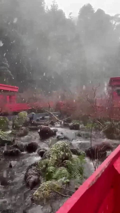 Termas Martini · video 01
