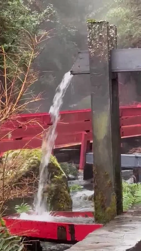 Termas Martini · video 14