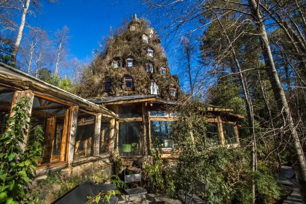 Montaña Mágica entre árboles bajo un cielo despejado