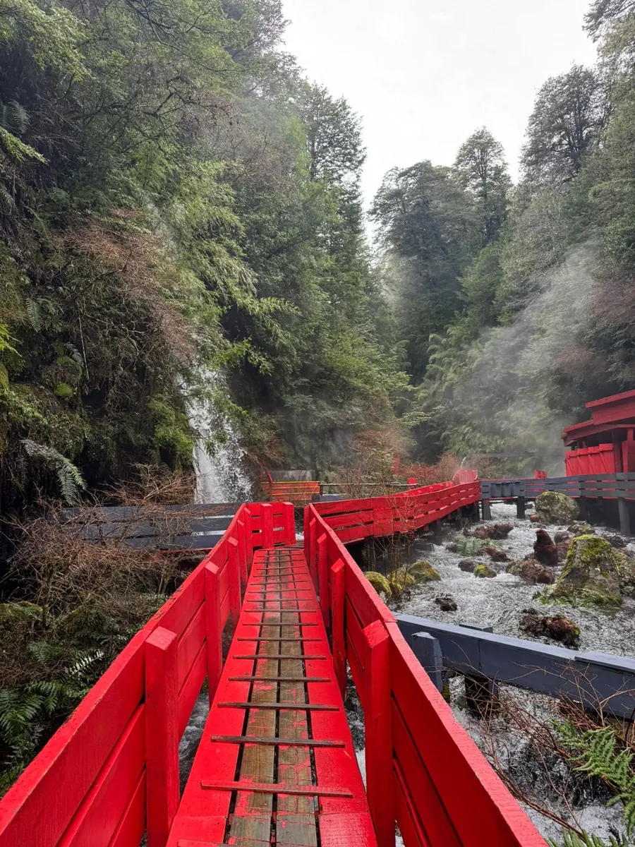Puente rojo sobre el agua en un entorno de bosque