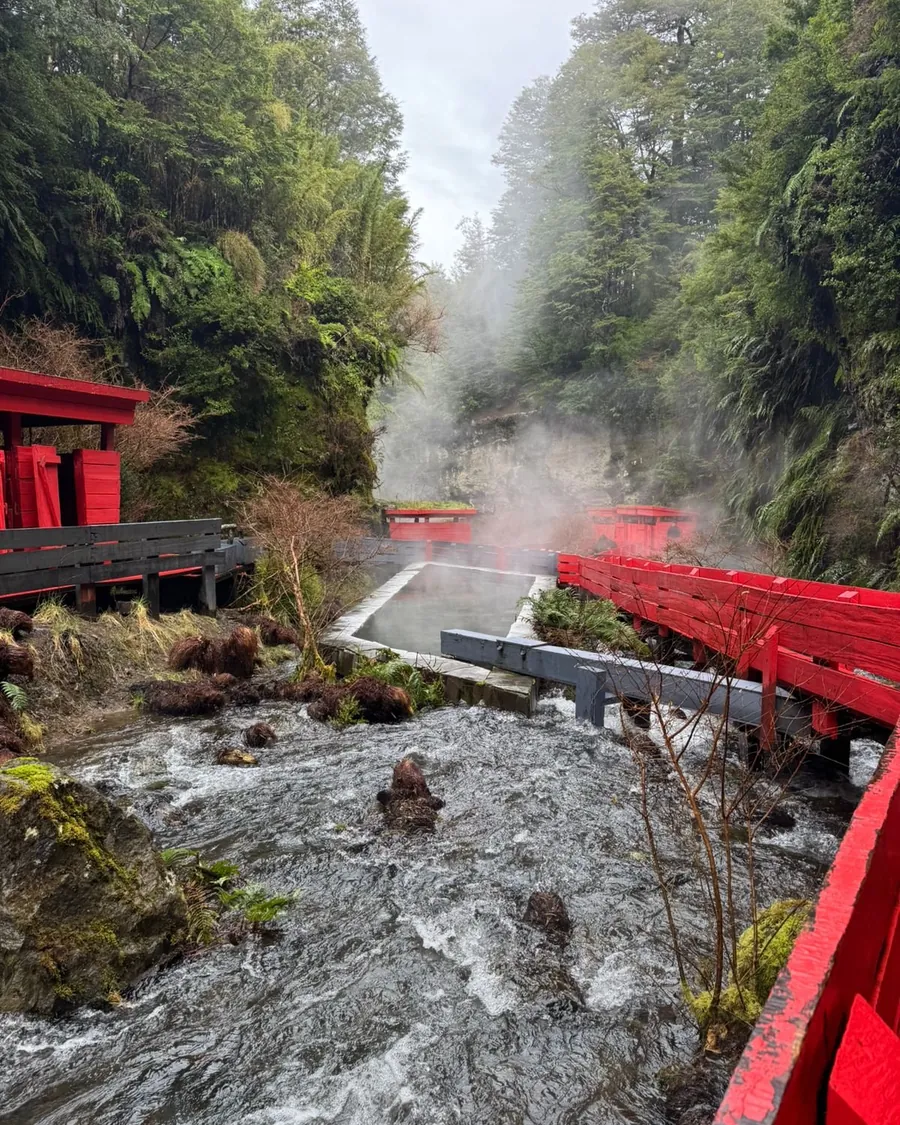 Pasarelas rojas y vapor entre las aguas termales y el bosque